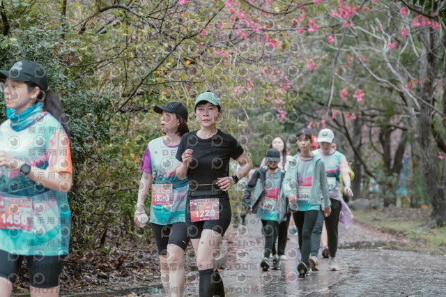 2026左岸竹東櫻花馬拉松Zhudong Sakura Marathon