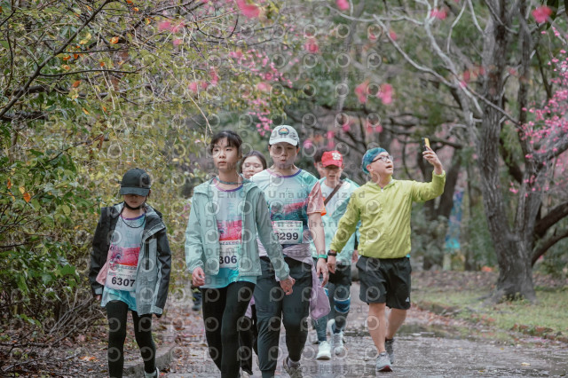 2026左岸竹東櫻花馬拉松Zhudong Sakura Marathon