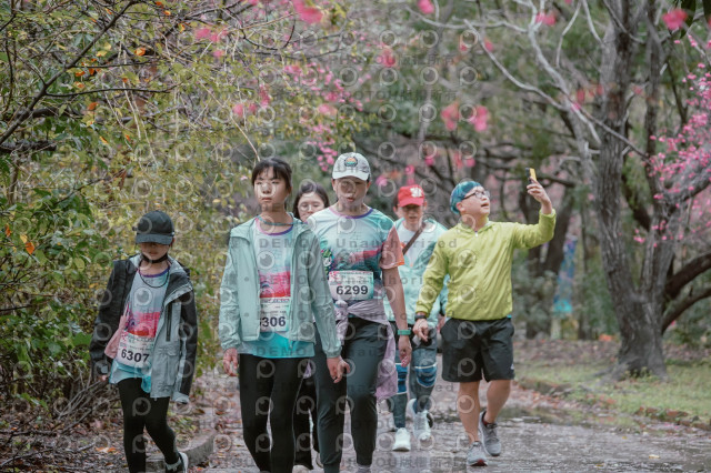 2026左岸竹東櫻花馬拉松Zhudong Sakura Marathon