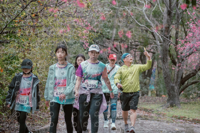 2026左岸竹東櫻花馬拉松Zhudong Sakura Marathon