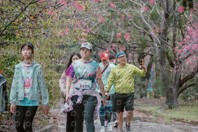 2026左岸竹東櫻花馬拉松Zhudong Sakura Marathon