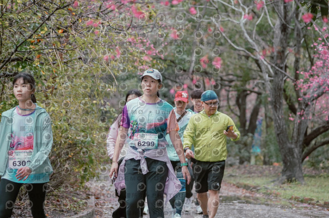 2026左岸竹東櫻花馬拉松Zhudong Sakura Marathon
