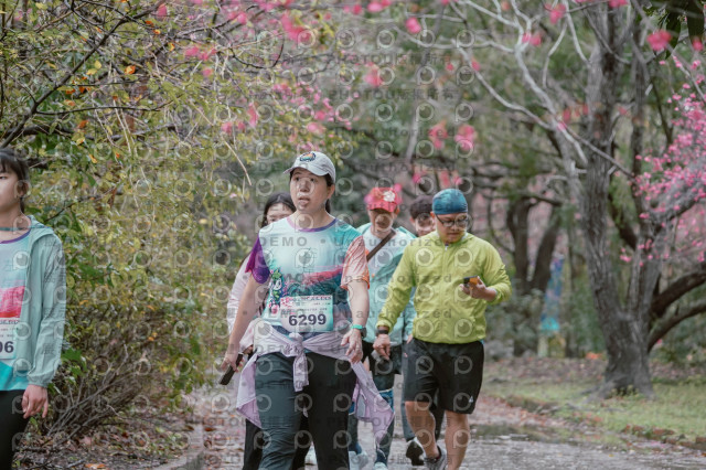 2026左岸竹東櫻花馬拉松Zhudong Sakura Marathon