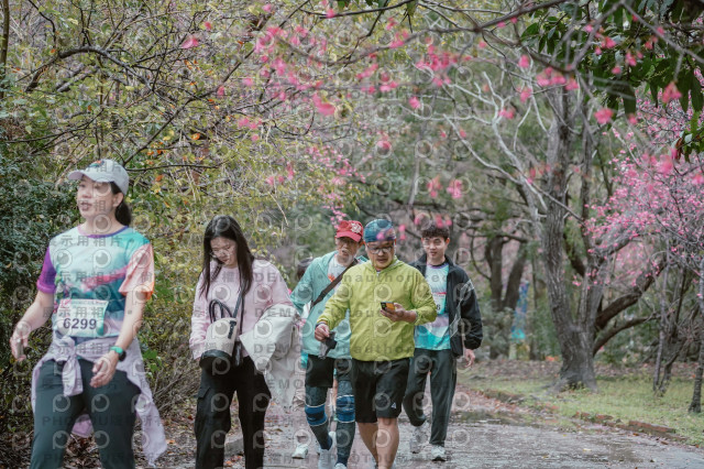 2026左岸竹東櫻花馬拉松Zhudong Sakura Marathon