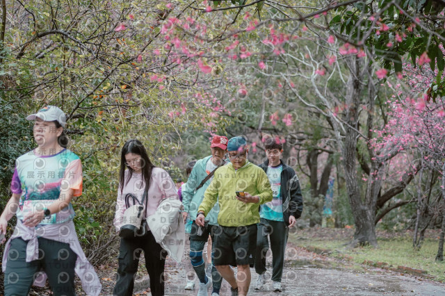 2026左岸竹東櫻花馬拉松Zhudong Sakura Marathon