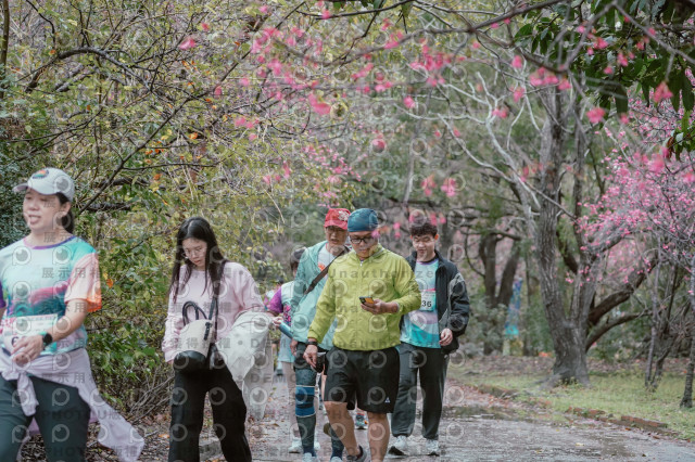 2026左岸竹東櫻花馬拉松Zhudong Sakura Marathon