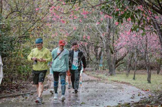 2026左岸竹東櫻花馬拉松Zhudong Sakura Marathon