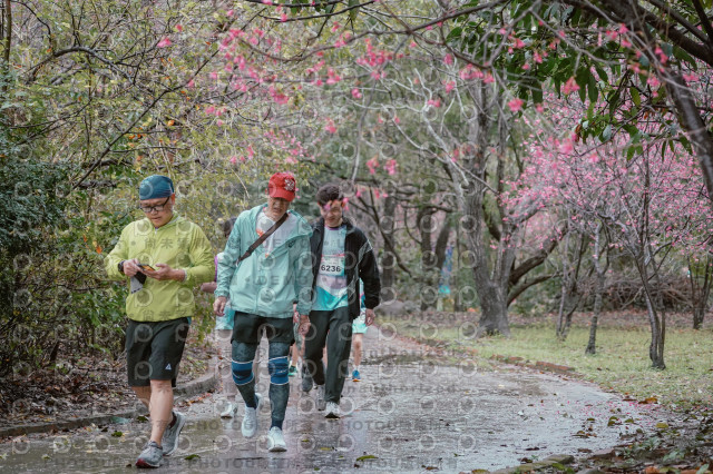 2026左岸竹東櫻花馬拉松Zhudong Sakura Marathon