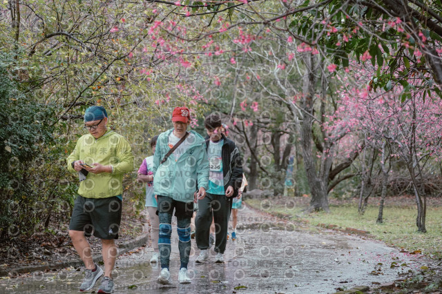 2026左岸竹東櫻花馬拉松Zhudong Sakura Marathon
