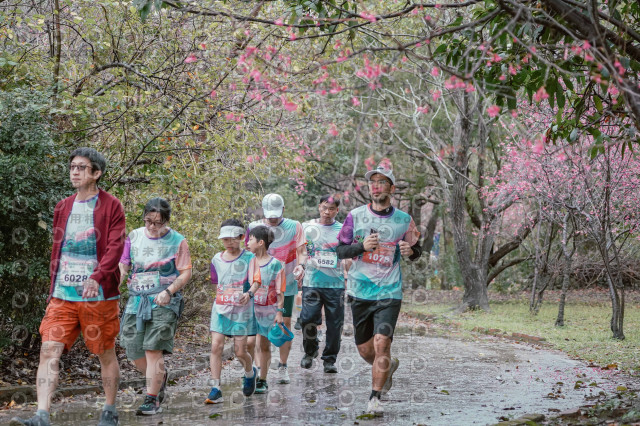2026左岸竹東櫻花馬拉松Zhudong Sakura Marathon