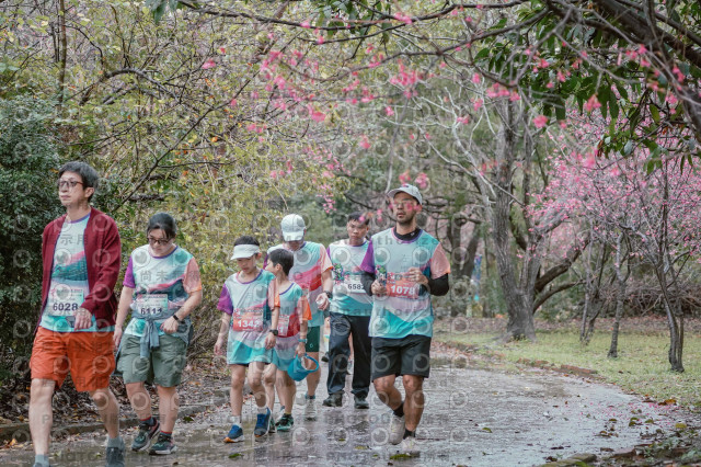 2026左岸竹東櫻花馬拉松Zhudong Sakura Marathon