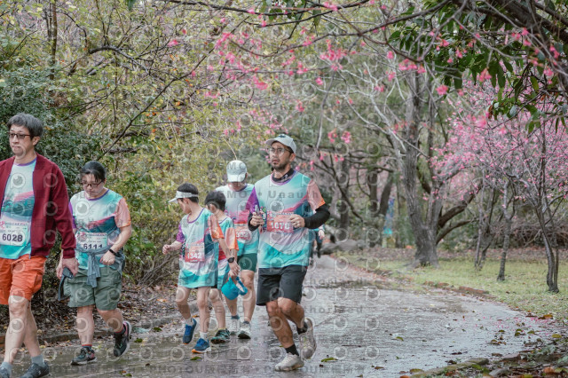 2026左岸竹東櫻花馬拉松Zhudong Sakura Marathon