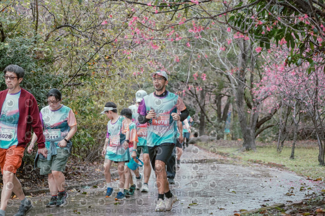 2026左岸竹東櫻花馬拉松Zhudong Sakura Marathon