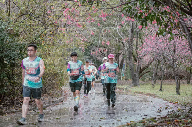 2026左岸竹東櫻花馬拉松Zhudong Sakura Marathon