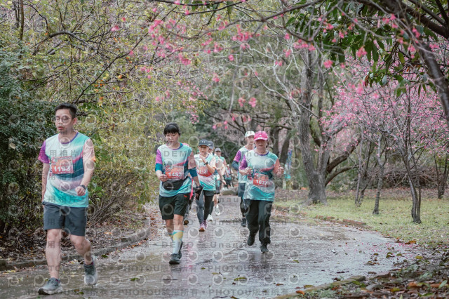 2026左岸竹東櫻花馬拉松Zhudong Sakura Marathon