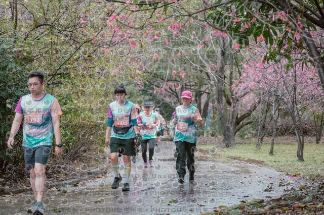 2026左岸竹東櫻花馬拉松Zhudong Sakura Marathon