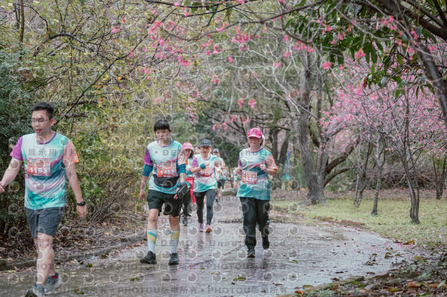 2026左岸竹東櫻花馬拉松Zhudong Sakura Marathon