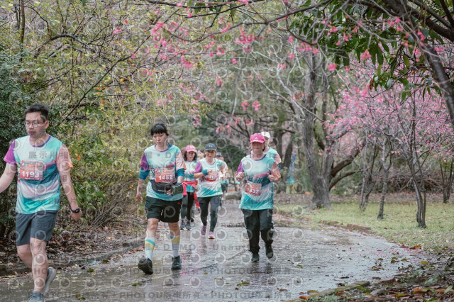 2026左岸竹東櫻花馬拉松Zhudong Sakura Marathon