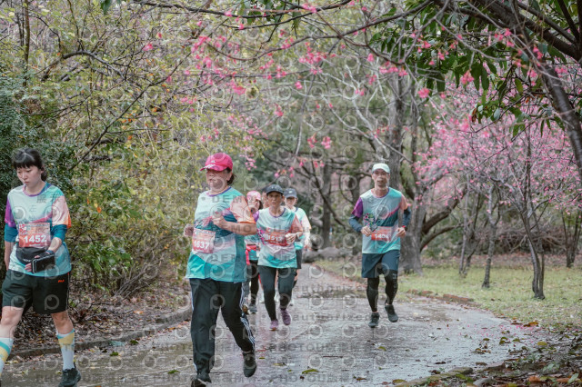2026左岸竹東櫻花馬拉松Zhudong Sakura Marathon