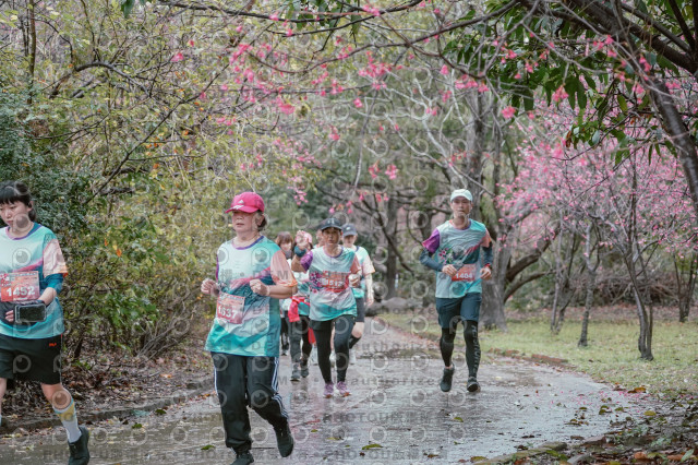 2026左岸竹東櫻花馬拉松Zhudong Sakura Marathon