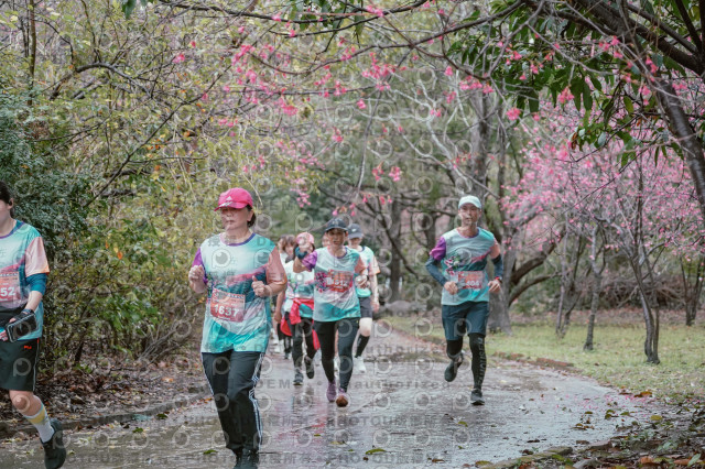 2026左岸竹東櫻花馬拉松Zhudong Sakura Marathon