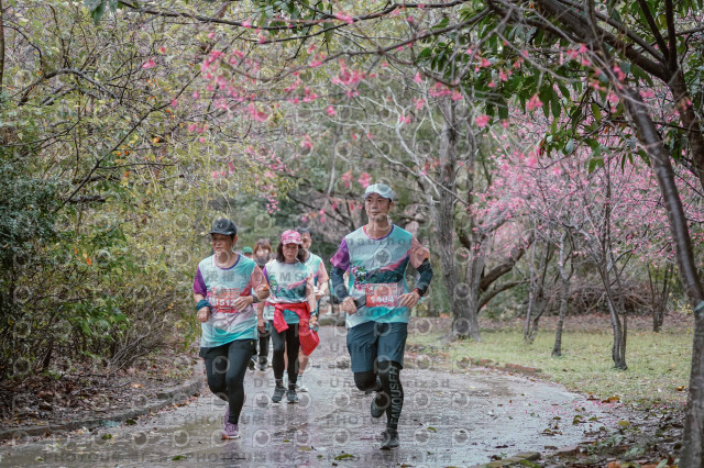 2026左岸竹東櫻花馬拉松Zhudong Sakura Marathon