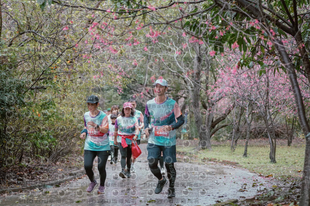 2026左岸竹東櫻花馬拉松Zhudong Sakura Marathon