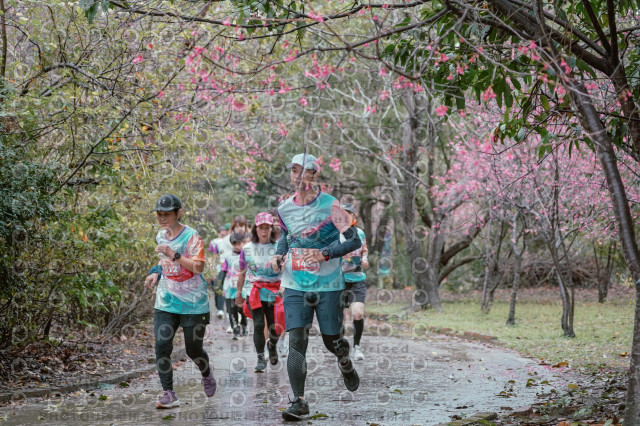 2026左岸竹東櫻花馬拉松Zhudong Sakura Marathon