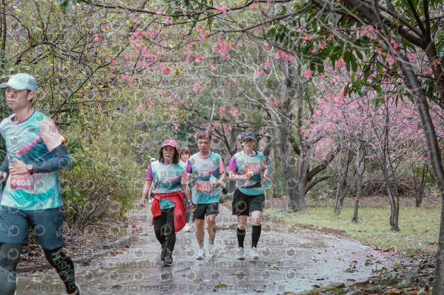 2026左岸竹東櫻花馬拉松Zhudong Sakura Marathon