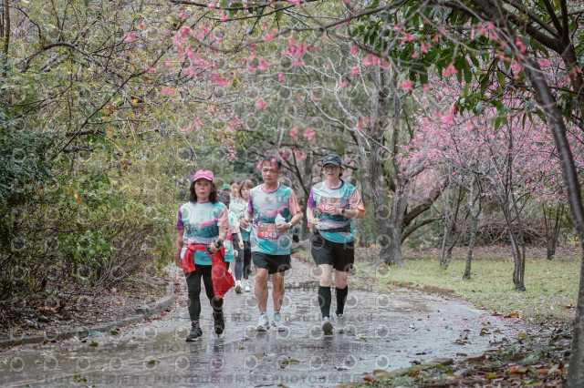 2026左岸竹東櫻花馬拉松Zhudong Sakura Marathon