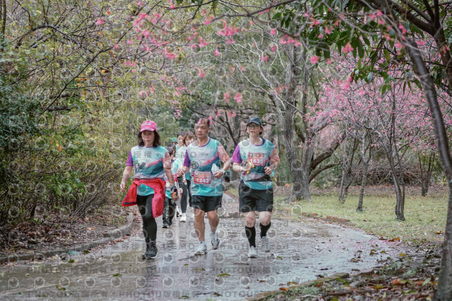 2026左岸竹東櫻花馬拉松Zhudong Sakura Marathon