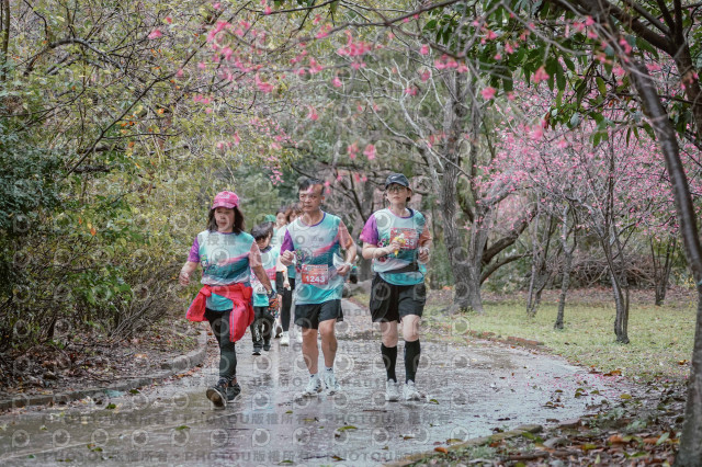 2026左岸竹東櫻花馬拉松Zhudong Sakura Marathon