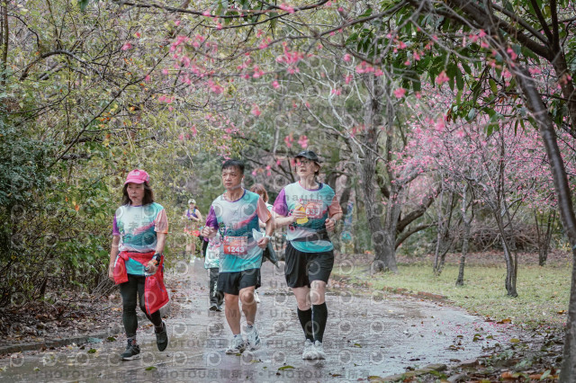 2026左岸竹東櫻花馬拉松Zhudong Sakura Marathon