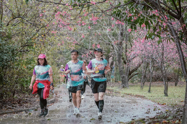 2026左岸竹東櫻花馬拉松Zhudong Sakura Marathon
