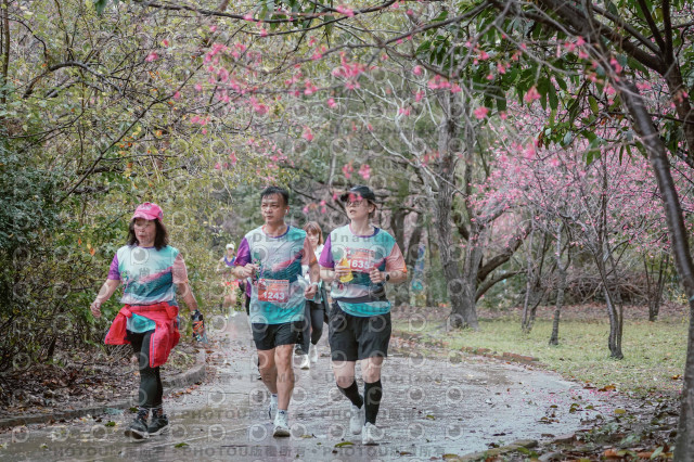 2026左岸竹東櫻花馬拉松Zhudong Sakura Marathon