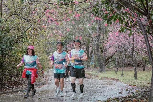 2026左岸竹東櫻花馬拉松Zhudong Sakura Marathon