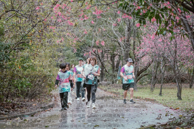 2026左岸竹東櫻花馬拉松Zhudong Sakura Marathon