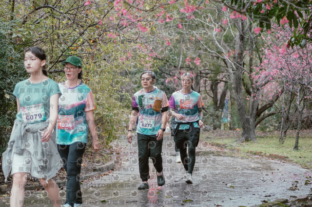 2026左岸竹東櫻花馬拉松Zhudong Sakura Marathon
