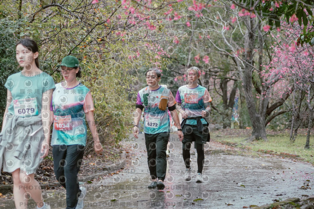 2026左岸竹東櫻花馬拉松Zhudong Sakura Marathon