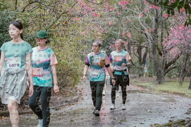 2026左岸竹東櫻花馬拉松Zhudong Sakura Marathon
