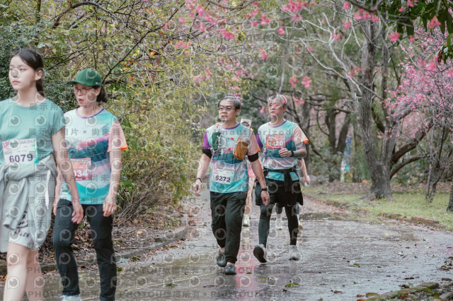 2026左岸竹東櫻花馬拉松Zhudong Sakura Marathon