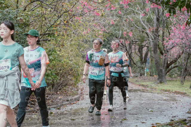 2026左岸竹東櫻花馬拉松Zhudong Sakura Marathon