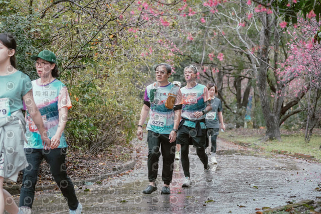 2026左岸竹東櫻花馬拉松Zhudong Sakura Marathon