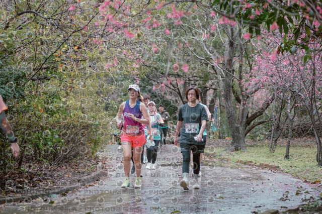 2026左岸竹東櫻花馬拉松Zhudong Sakura Marathon