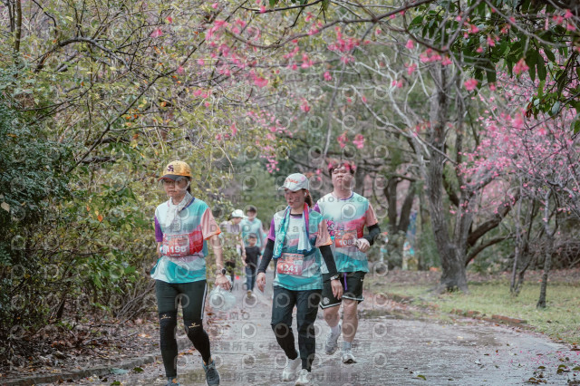 2026左岸竹東櫻花馬拉松Zhudong Sakura Marathon