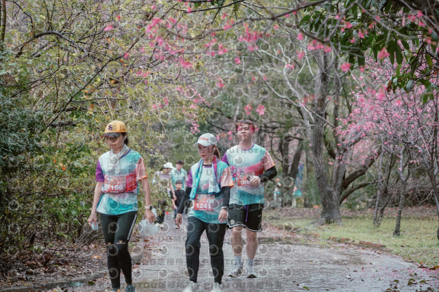 2026左岸竹東櫻花馬拉松Zhudong Sakura Marathon