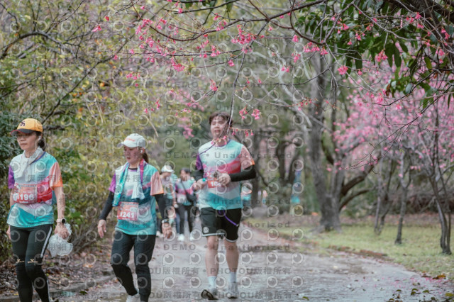 2026左岸竹東櫻花馬拉松Zhudong Sakura Marathon