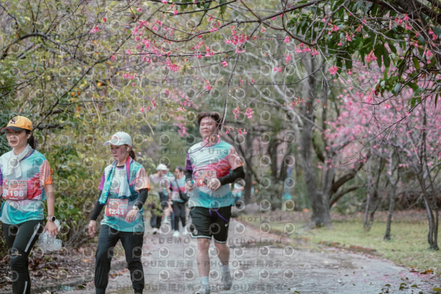 2026左岸竹東櫻花馬拉松Zhudong Sakura Marathon