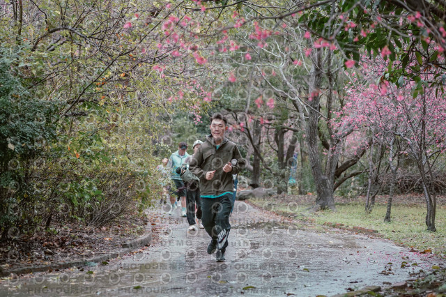 2026左岸竹東櫻花馬拉松Zhudong Sakura Marathon