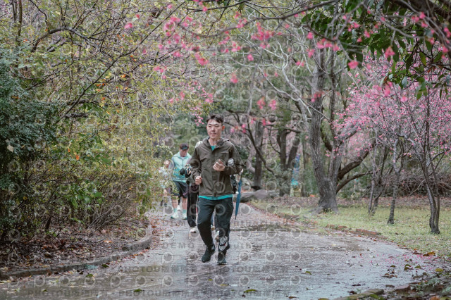 2026左岸竹東櫻花馬拉松Zhudong Sakura Marathon